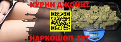 молекула духа Будённовск