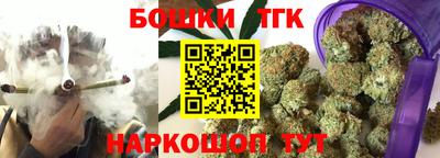 молекула духа Будённовск