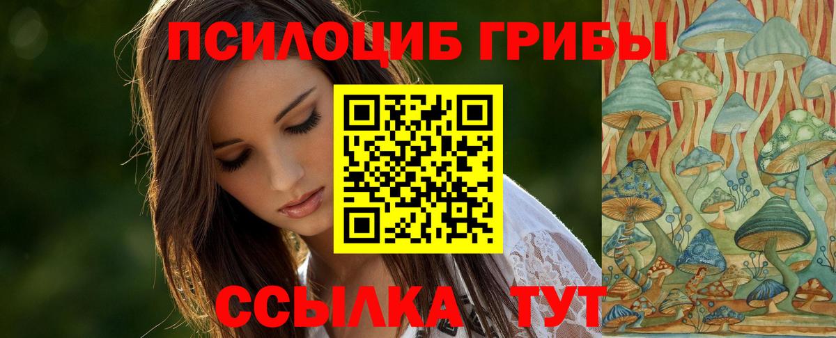 купить наркотики сайты  Псилоцибиновые грибы Cubensis  Вход с VPN  Челябинск 